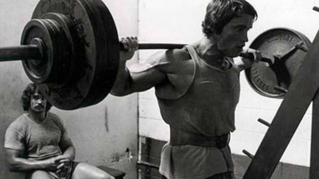 arnold-squat