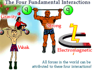4forces