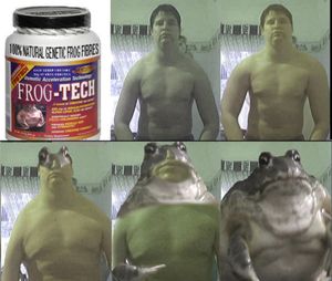 431