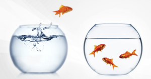 BehaviourChange_Texavi