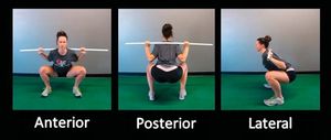 squat depth
