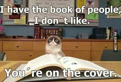 I-Have-The-Book-Of-People-I-Don-t-Like-----You-Are-On-The----