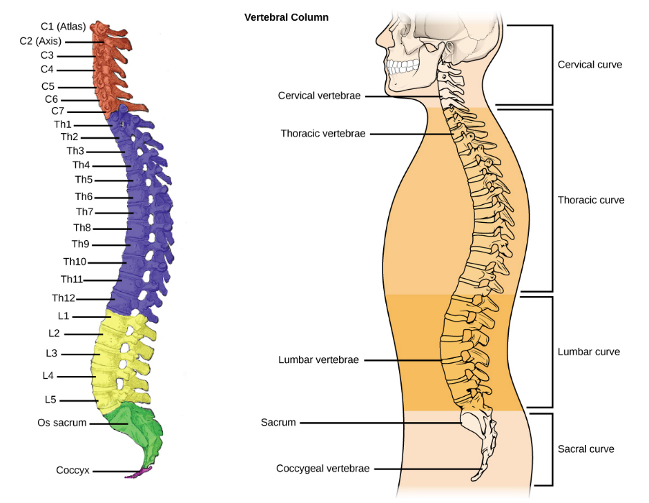 Screen Shot 2018-04-19 at 10.36.33